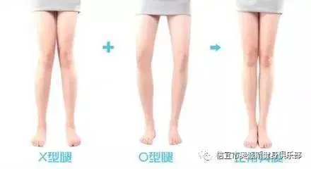 哪里能找到智能篮球训练的应用程序_0
